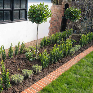 Gardening & Landscaping